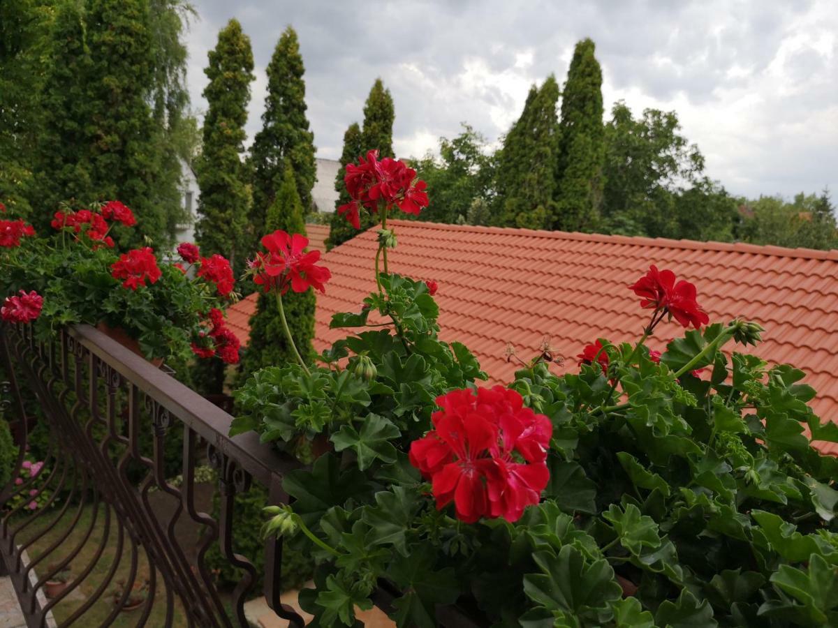 Hajdúszoboszló Julia Panzio B&B 외부 사진